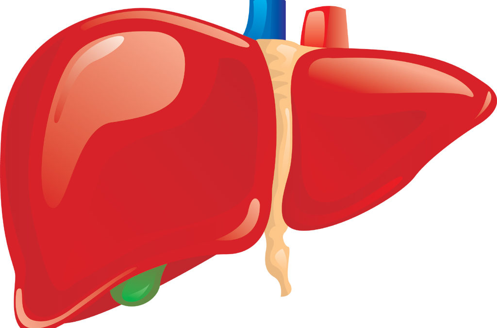 How well do you know your liver?